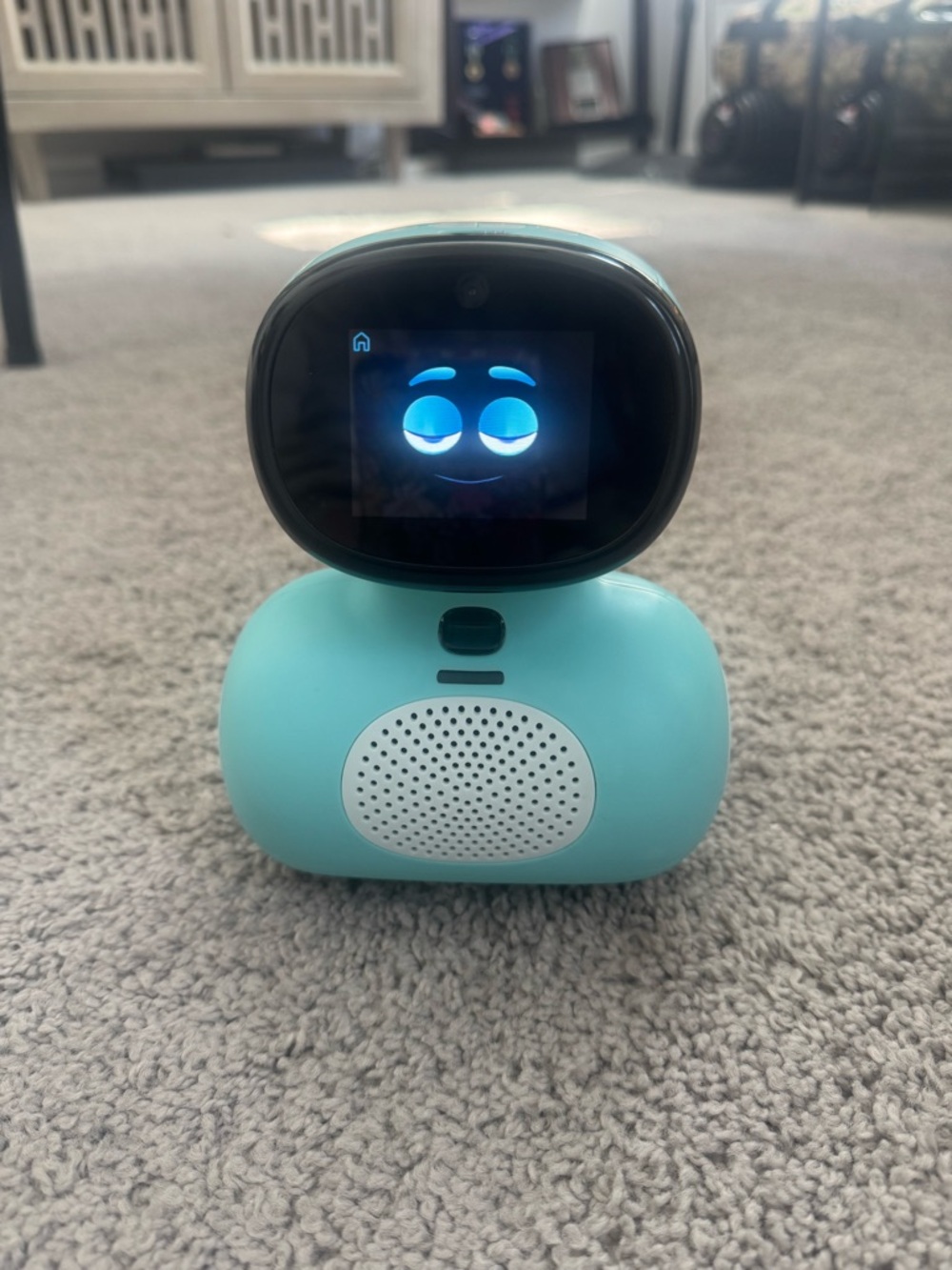 Miko Mini